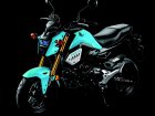 Honda MSX 125 Grom